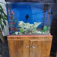 آکواریوم شرکتی با پایه چوبی|ماهی|باغستان, |دیوار