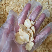 پودر سیر و پیاز و گوجه تازه
