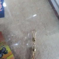 گوشواره پیدا شده