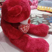 خرس و فیل سالم و نو