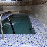 اجاره ویلا استخر دار بوژان|اجارهٔ کوتاهمدت ویلا و باغ|نیشابور, فضل|دیوار