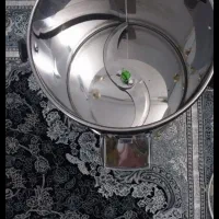 سبزی خوردکن سبز ایران|خردکن، آسیاب، غذاساز|فردیس, شهرک ۱۱۰|دیوار