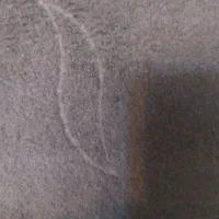 موکت