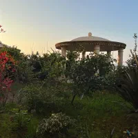 اجاره ۳۳۰ متر پلاک اول|اجارهٔ آپارتمان|سرخرود, |دیوار