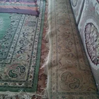 12متری|فرش|بیرجند, |دیوار