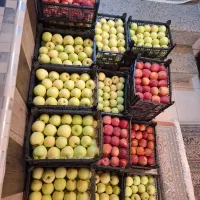 سیب درجه یک|خوردنی و آشامیدنی|شیراز, شهرک فرهنگیان|دیوار