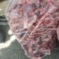 استخوان تازه دنده و مهره گوسفندی