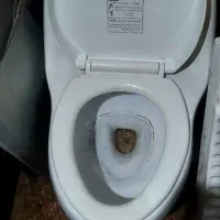 توالت فرنگی توالت ایرانی روشویی چینی کرد|لوازم سرویس بهداشتی|چهاردانگه (تهران), |دیوار