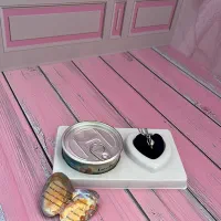 کنسرو گردنبند مروارید عشق|بدلیجات|ایلام, |دیوار