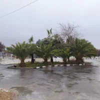 رهن-و-اجاره-کارگاه