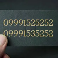 09991525252
