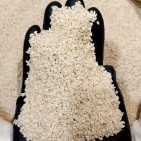 کنجد *سفید* شیرین /باکیفیت/ تمیز