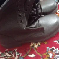 پوتین