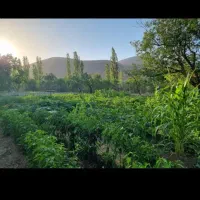 فروش باغ در یاتان معاوضه آپارتمان رجایی
