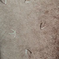 فروش موکت پالاز