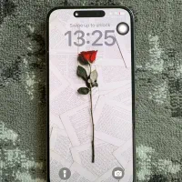 اپل iPhone 15 Pro Max با حافظهٔ ۵۱۲ گیگابایت|موبایل|تهران, نیروی هوایی (پیروزی)|دیوار