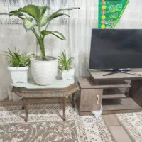 مسکن