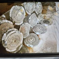 کارگاه تخصصی تعمیروفروش دیسک وصفحه کلاچ خودرو|قطعات یدکی و لوازم جانبی|اردبیل, |دیوار