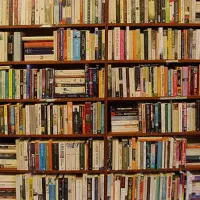 مشاوره انلاین برای وقت های اضافه