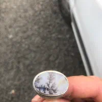 انگشتر عقیق شجر سوزنی