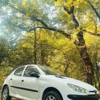 206 تیپ2مدل 401