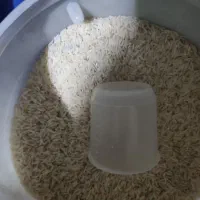 برنج طارم هاشمی امساله