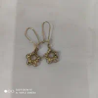 یک قطعه طلا پیدا شده