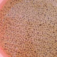 آموزش انواع فست فود