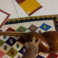 تار دو مهر کشاورز|سازهای سنتی|تهران, جمهوری|دیوار