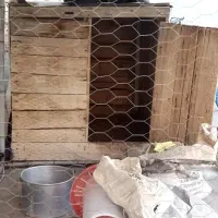 قفس مرغ