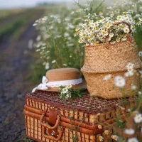 طبیعت گردی دورهمی