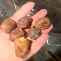 با سلام فروش خرمای برحی|عمده‌فروشی|شادگان, |دیوار