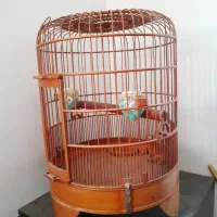 قفس چوبی کلکسیونی ژاپنی