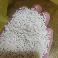 برنج نمیدانه تمیز ودرجه یک
