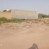 زمین مسکونی مجنون