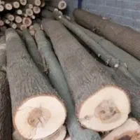 خرید انواع چوب