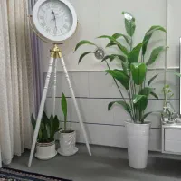 ساعت ایستاده