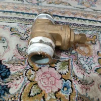 شیر برنجی 63