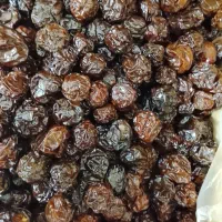 آلوچه ممتاز