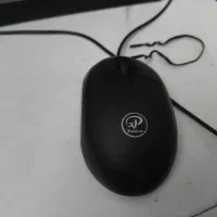 کامپیوتر اداری با تمام لوازم جانبی|رایانه رومیزی|بابل, |دیوار