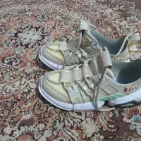 کفش|کیف، کفش، کمربند|مشهد, کلاته برفی|دیوار