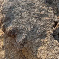 کاه پارسال|حیوانات مزرعه|شوشتر, |دیوار