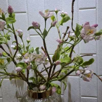 گل شکوفه سیب با خمیر انعطاف|گل مصنوعی|تهران, فلاح|دیوار