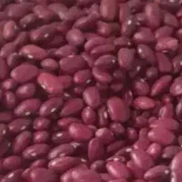 لوبیا قرمز