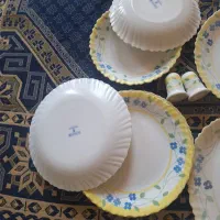 آرکوپال پنسی|ظروف سرو و پذیرایی|خمینیشهر, |دیوار