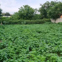 فروش-زمین-خانه-سرا-در-روستای-لالیم