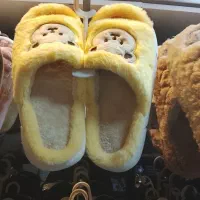 دمپایی پلیشی زنانه و مردانه عمده و تکی|کیف، کفش، کمربند|کرج, شهرک بنفشه|دیوار