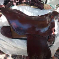 زین اسب|اسب و تجهیزات اسب‌سواری|اهر, |دیوار