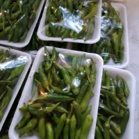 فلفل شیرین بسته بندی