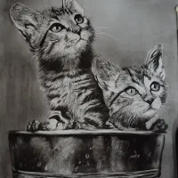 حراج تابلوهای نقاشی رنگ روغن و سیاه قلم|تابلو، نقاشی، عکس|مشهد, شهید فرامرز عباسی|دیوار